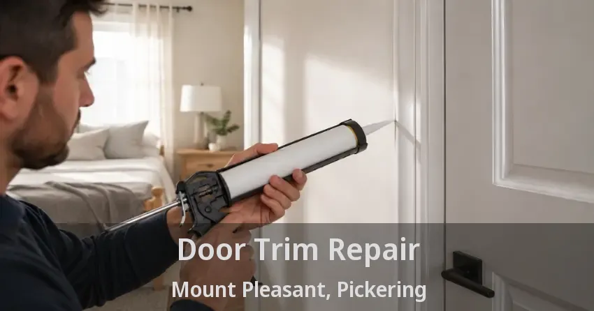 Door Trim Repair Mount Pleasant, Pickering - ON