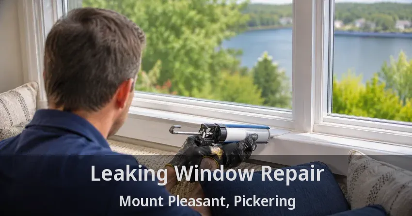 Leaking Window Repair Mount Pleasant, Pickering - ON