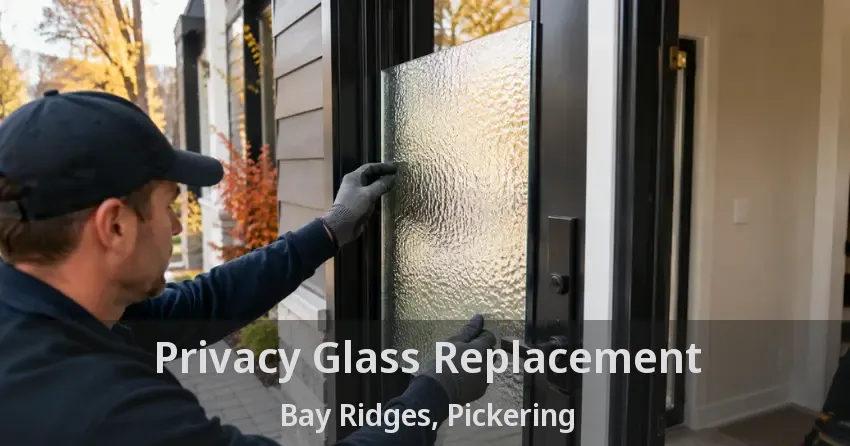 Privacy Glass Replacement Bay Ridges, Pickering - ON